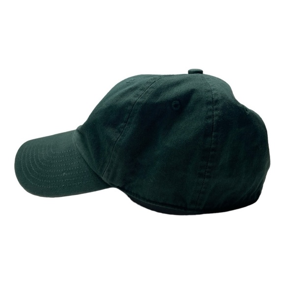 The Franchise MLB Tampa Bay Rays Green Fitted Hat - Picture 2 of 6